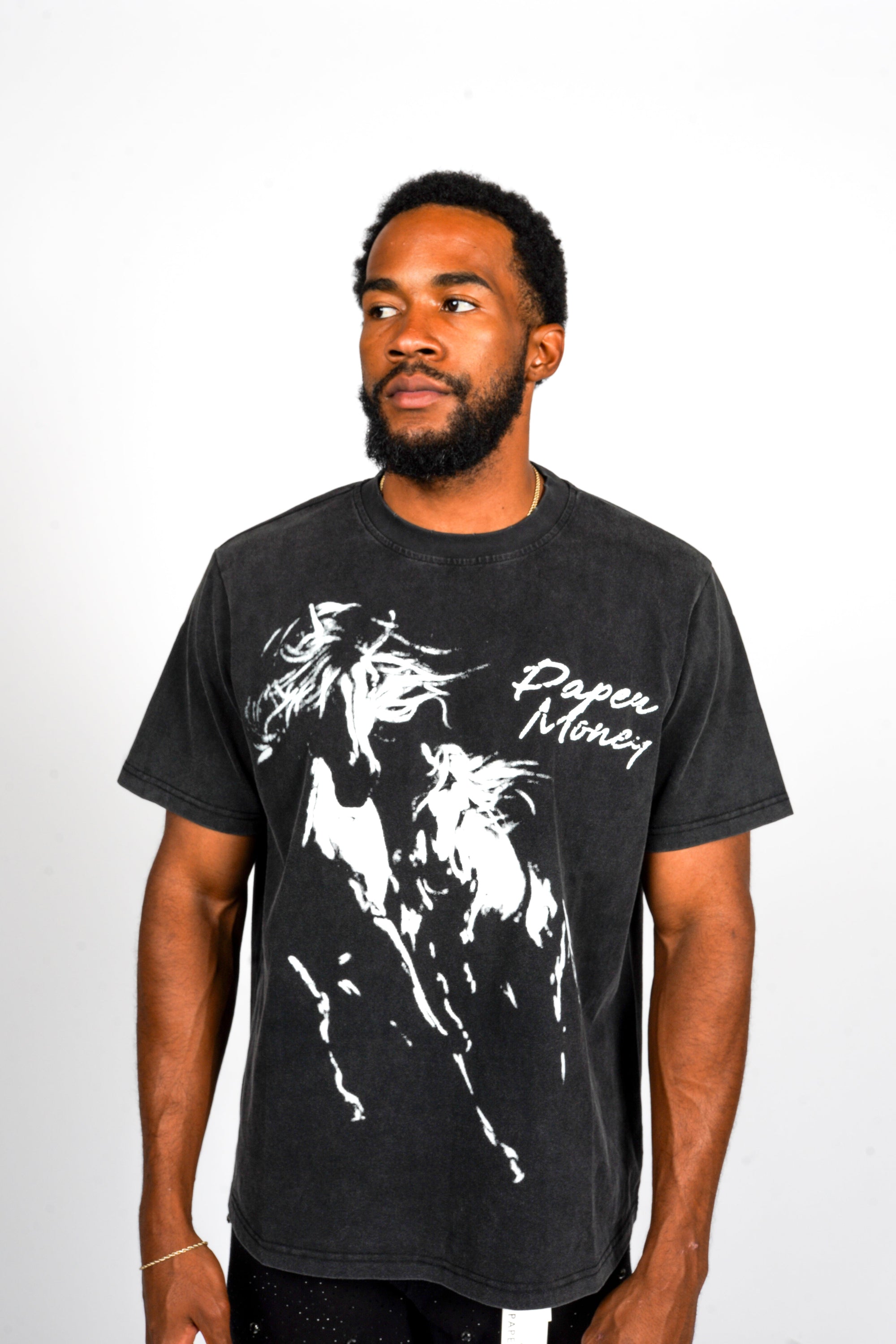 Paper Money Wild Horses Shirt
